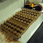 pralines en cours de cristallisation